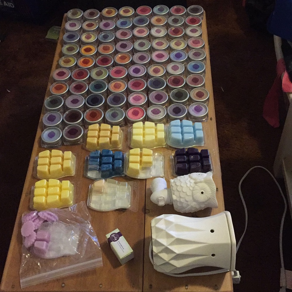 Scentsy warmer, nightlight, bag, and melts (10)